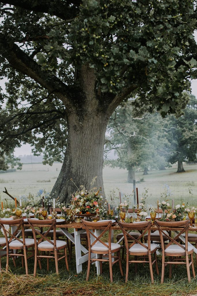 wedding-reception-under-a-tree